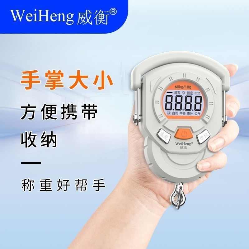 Draagbare elektronische weegsc - Fishing Hook recensie en prijs